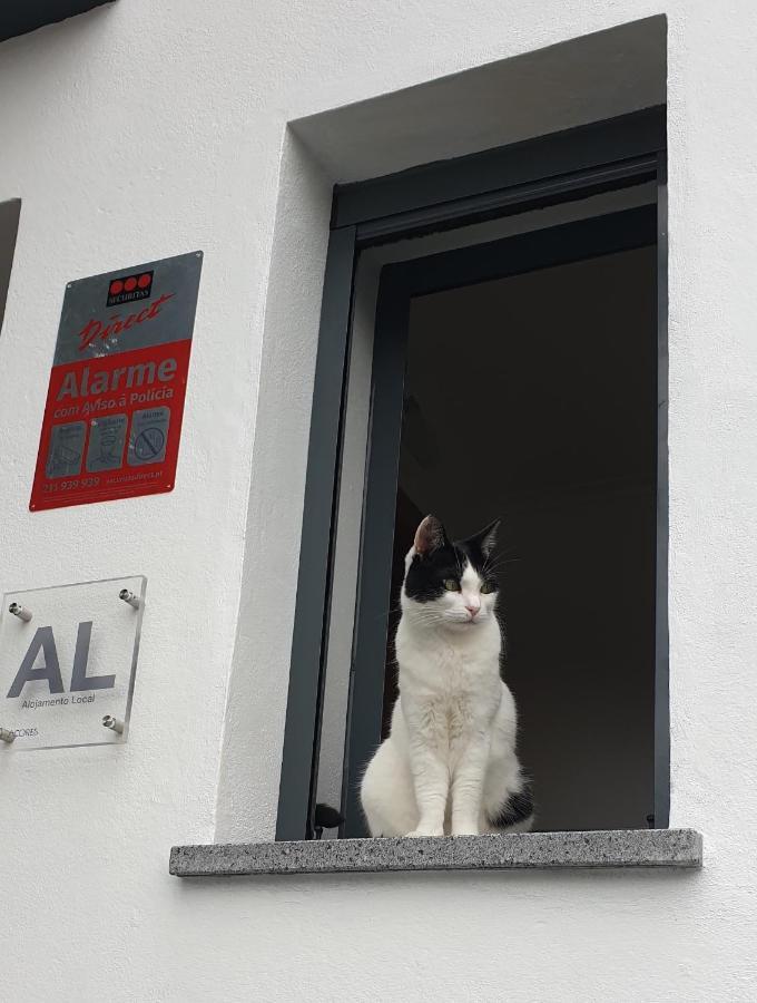 Caminhos Nos Levam Pela Ilha Apartman Ponta Delgada Kültér fotó